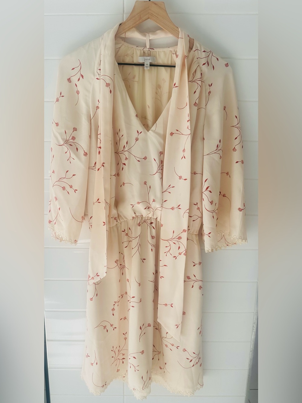 Joie Dakota Summer Cottagecore Fairycore Cream Dress with Red Floral Print - Picture 9 of 9
